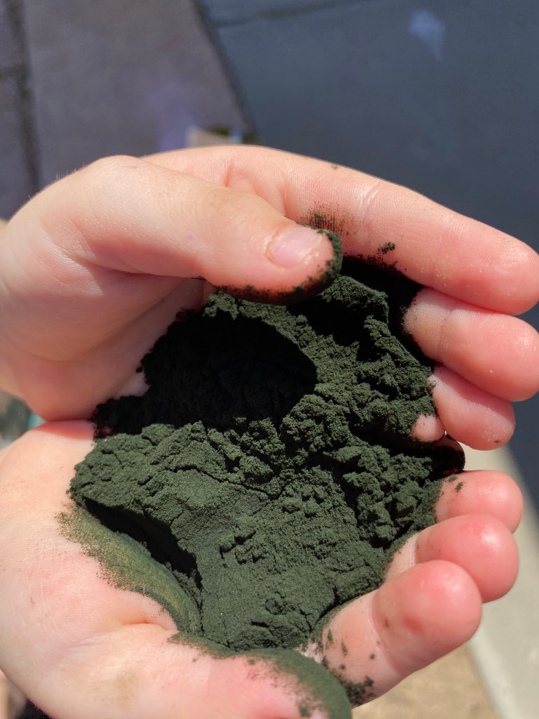 Vibrant Green spirulina powder. 